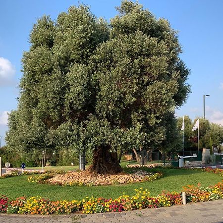Mina'S Suites - קיסריה ภายนอก รูปภาพ